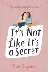 It's Not Like It's a Secret cover