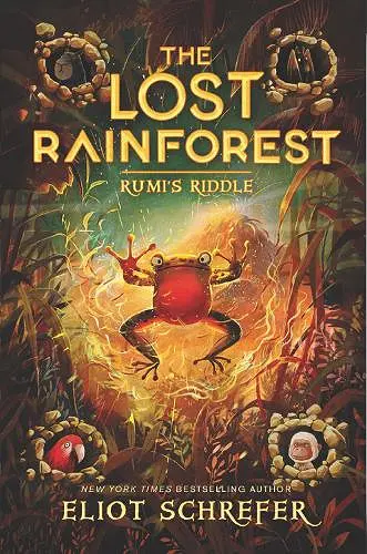 The Lost Rainforest #3: Rumi’s Riddle cover