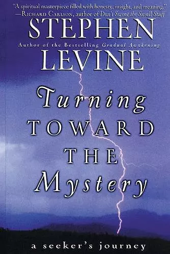 Turning Towards the Mystery cover