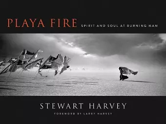 Playa Fire: Spirit and Soul at Burning Man cover