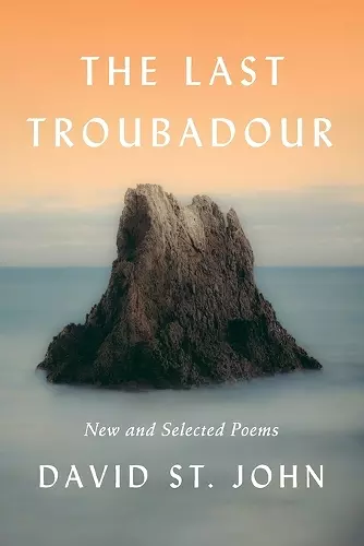 The Last Troubadour cover