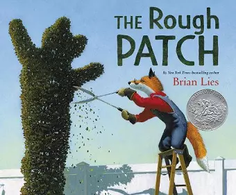 The Rough Patch cover