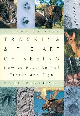 Tracking and the Art of Seeing cover