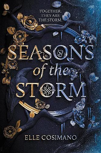 Seasons of the Storm cover
