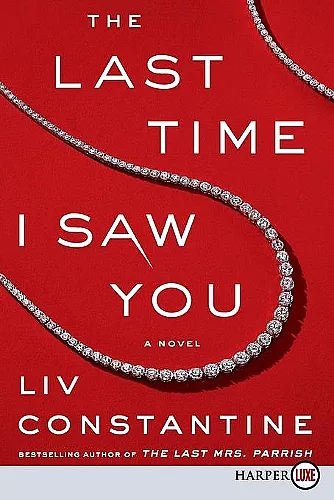 The Last Time I Saw You [Large Print] cover