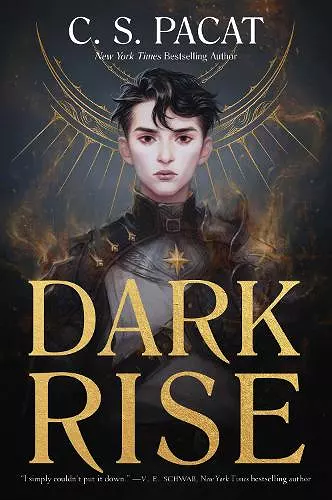 Dark Rise cover
