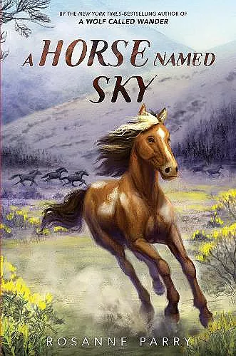 A Horse Named Sky cover