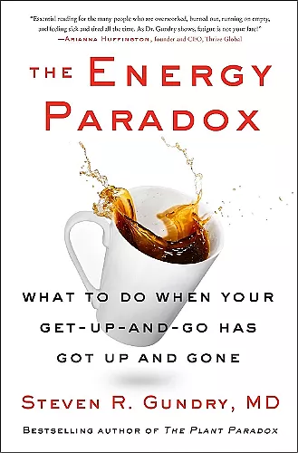 The Energy Paradox cover