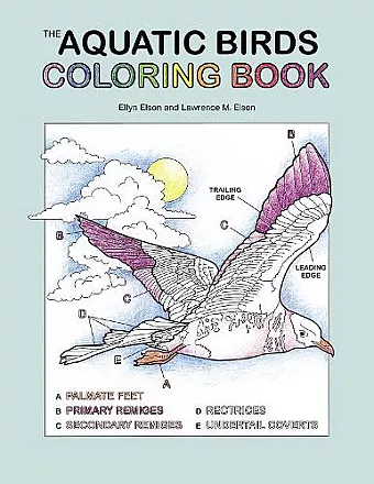 The Aquatic Birds Coloring Book cover