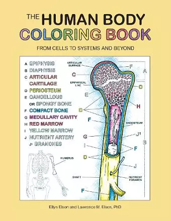 The Human Body Coloring Book cover