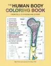 The Human Body Coloring Book cover