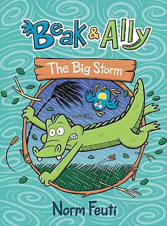 Beak & Ally #3: The Big Storm cover