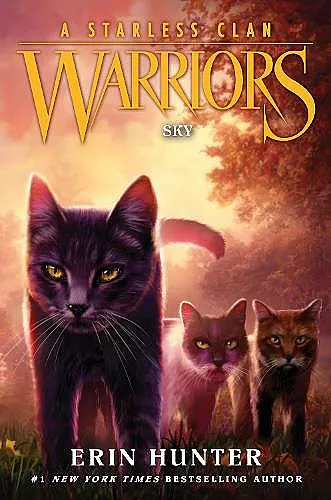 Warriors: A Starless Clan #2: Sky cover