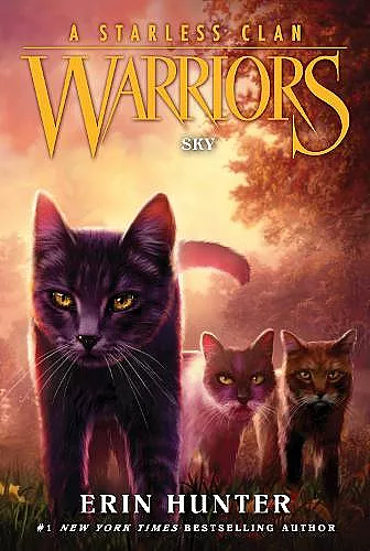 Warriors: A Starless Clan #2: Sky cover