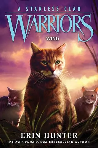 Warriors: A Starless Clan #5: Wind cover