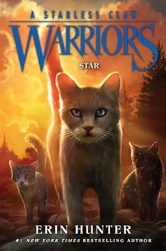 Warriors: A Starless Clan #6: Star cover
