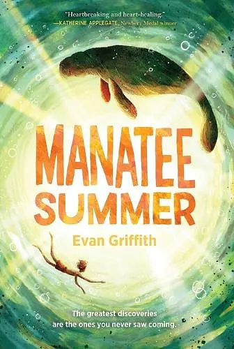 Manatee Summer cover