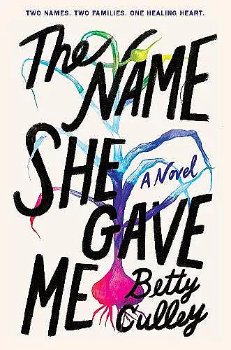 The Name She Gave Me cover