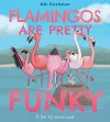 Flamingos Are Pretty Funky cover