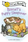 Biscuit's Puppy Sleepover cover