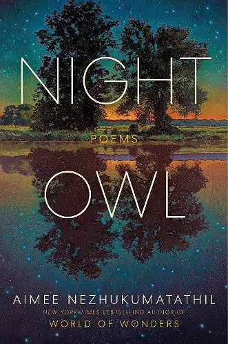 Night Owl cover