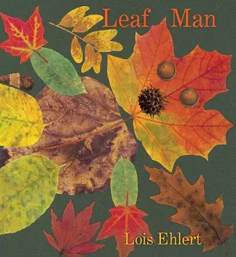 Leaf Man Board Book cover