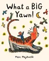 What a BIG Yawn! cover