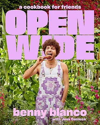 Open Wide cover