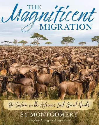 Magnificent Migration cover