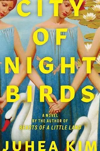 City of Night Birds cover