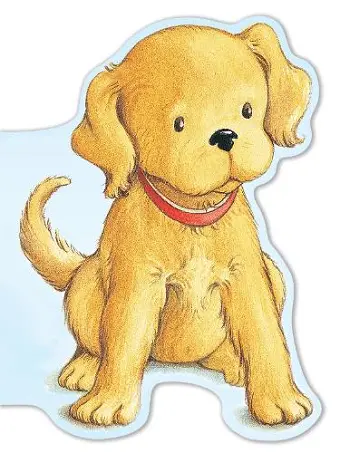 Biscuit Shaped Board Book cover