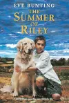 The Summer of Riley cover