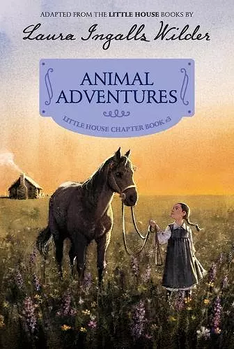 Animal Adventures cover