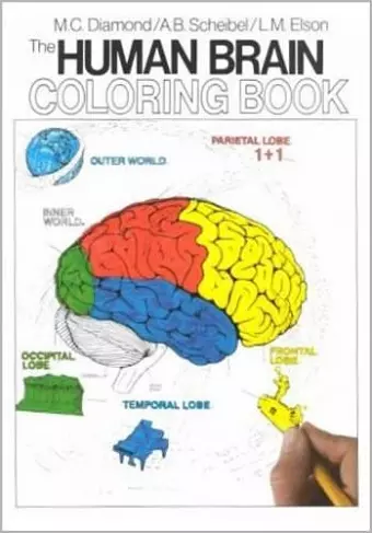 The Human Brain Coloring Book cover