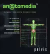 Anatomedia: Pelvis CD cover