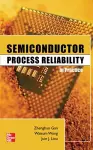 Semiconductor Process Reliability in Practice cover