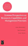 Systems Perspectives on Resources, Capabilities, and Management Processes cover