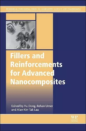 Fillers and Reinforcements for Advanced Nanocomposites cover