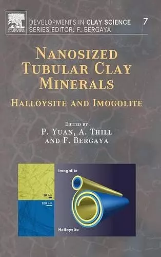 Nanosized Tubular Clay Minerals cover