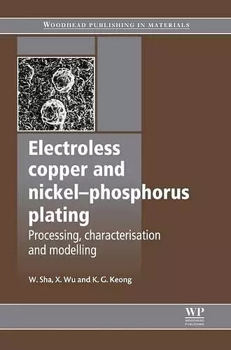 Electroless Copper and Nickel-Phosphorus Plating cover