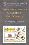 Surface and Interface Chemistry of Clay Minerals cover