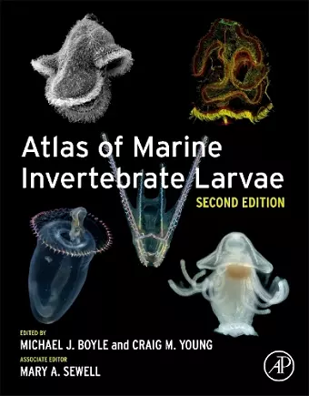 Atlas of Marine Invertebrate Larvae cover