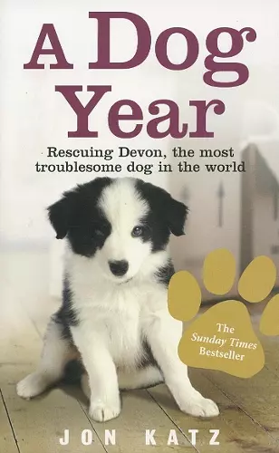 A Dog Year cover