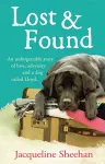 Lost & Found cover