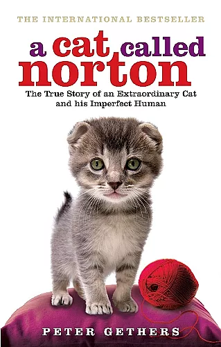 A Cat Called Norton cover