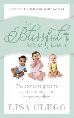 The Blissful Toddler Expert cover