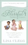 The Blissful Toddler Expert cover