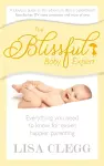 The Blissful Baby Expert cover