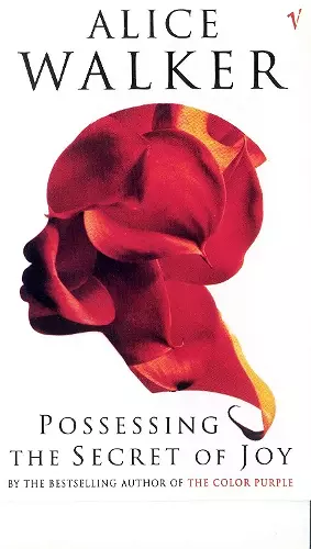 Possessing The Secret Of Joy cover