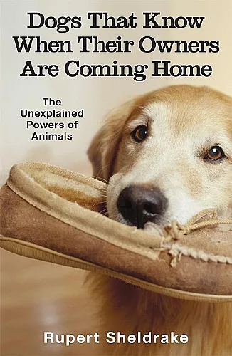 Dogs That Know When Their Owners Are Coming Home cover